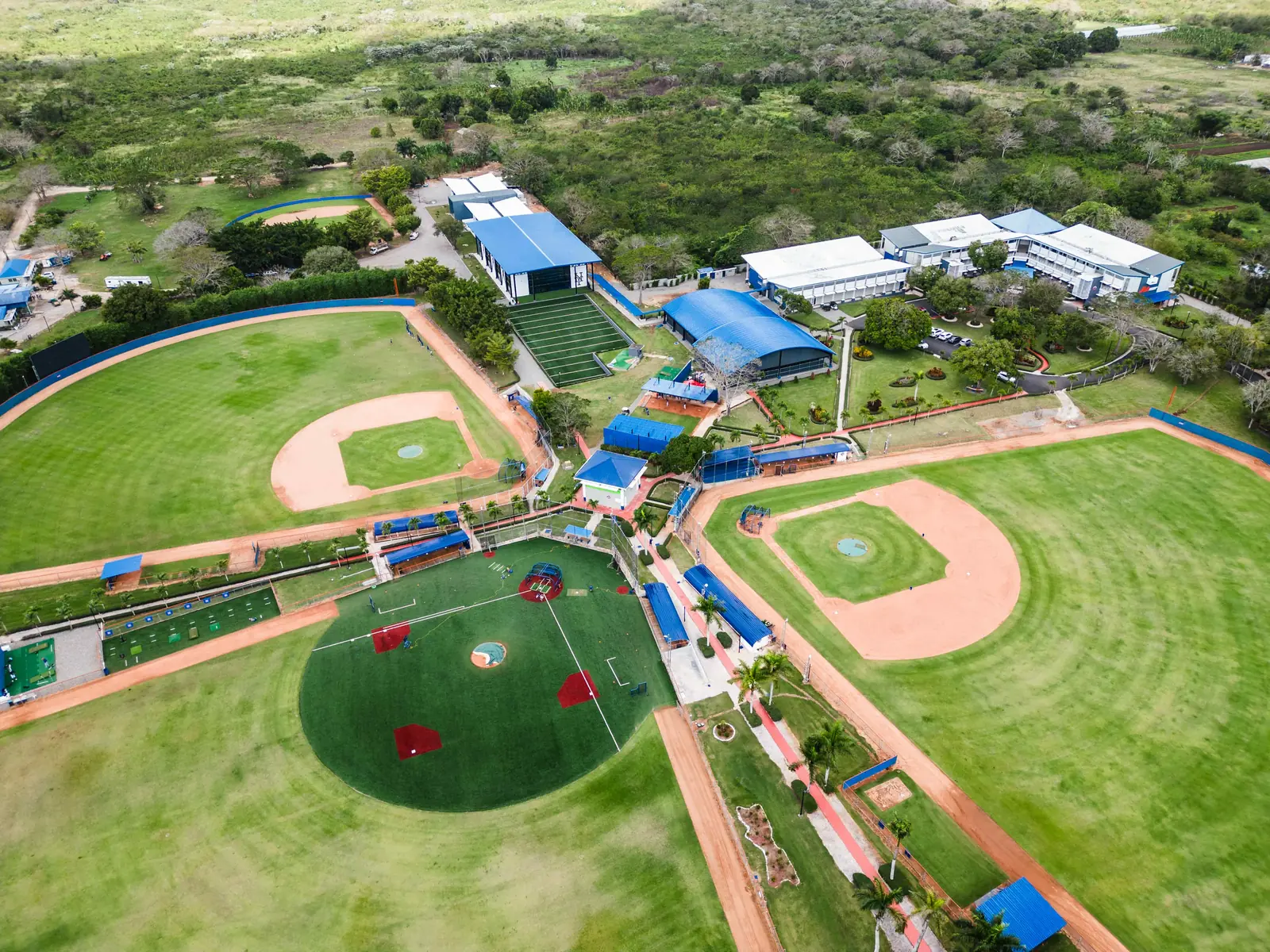 Academia New York Mets